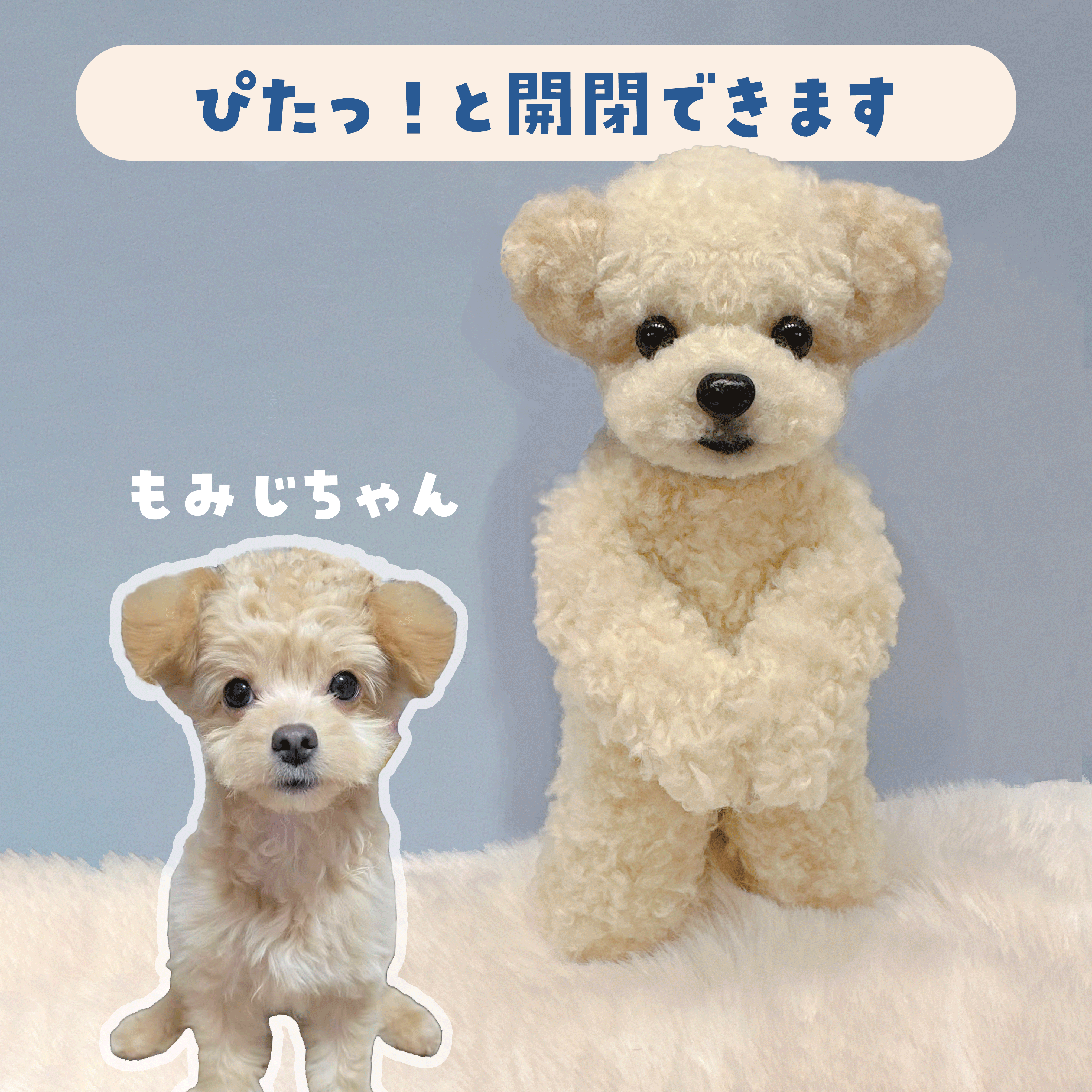 うちの子ぬいぐるみ カスタムメイド トイプー＆ビション
