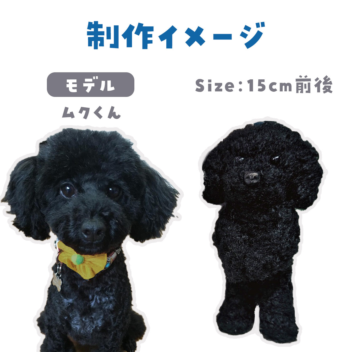 ※2名以上で予約可※ぬいぐるみワークショップ トイプー・ビション