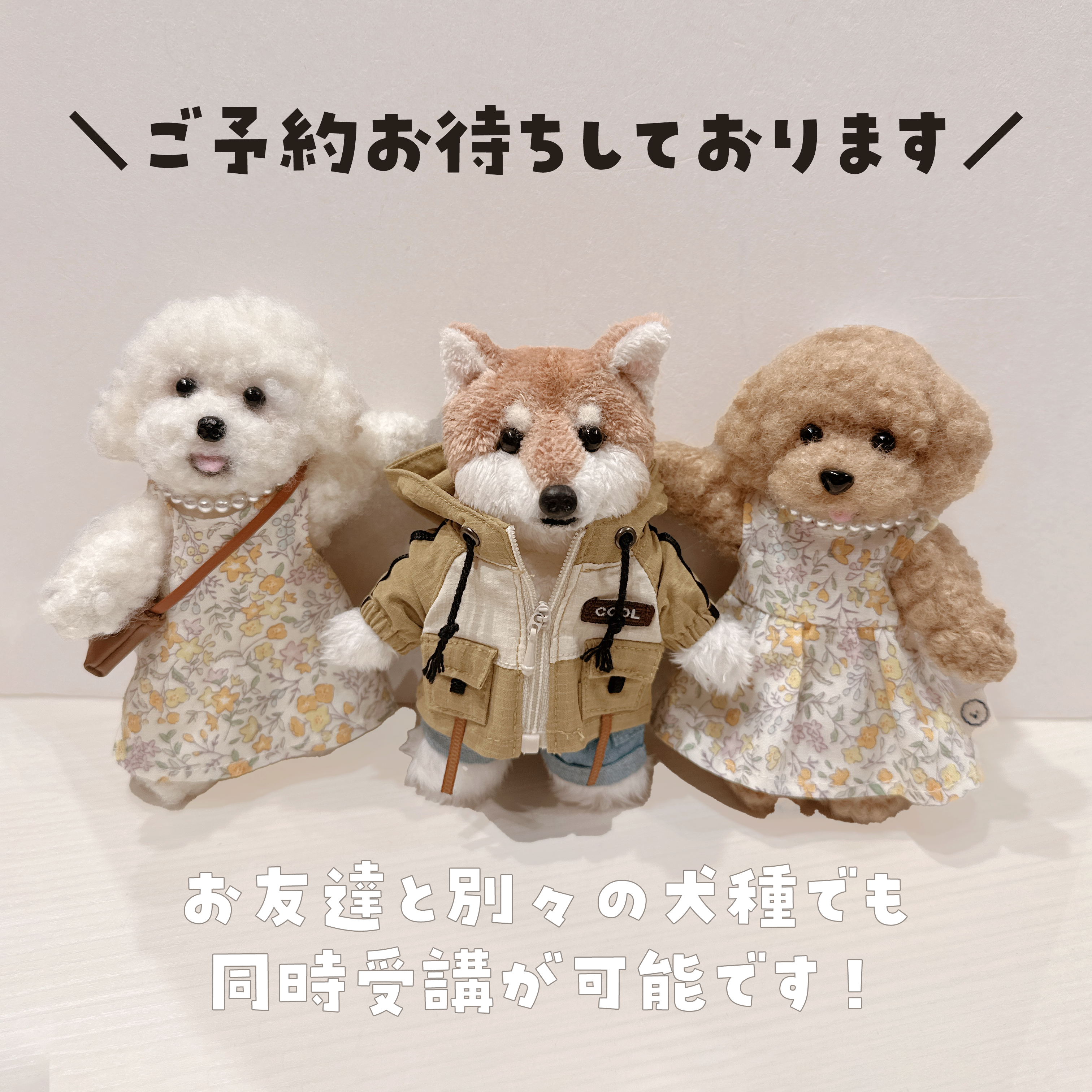 ※2名以上で予約可※ぬいぐるみワークショップ トイプー・ビション以外全て